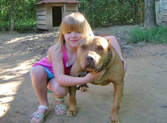 Red Nose Pit Bull Playing with Kids